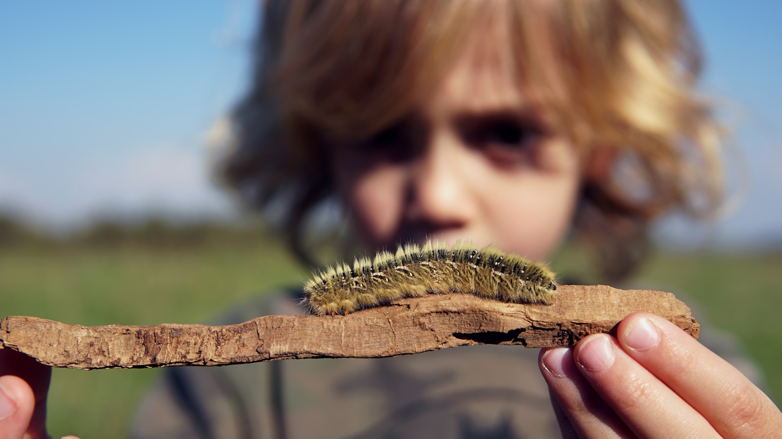 person holding wood with caterpillar selective focus photography